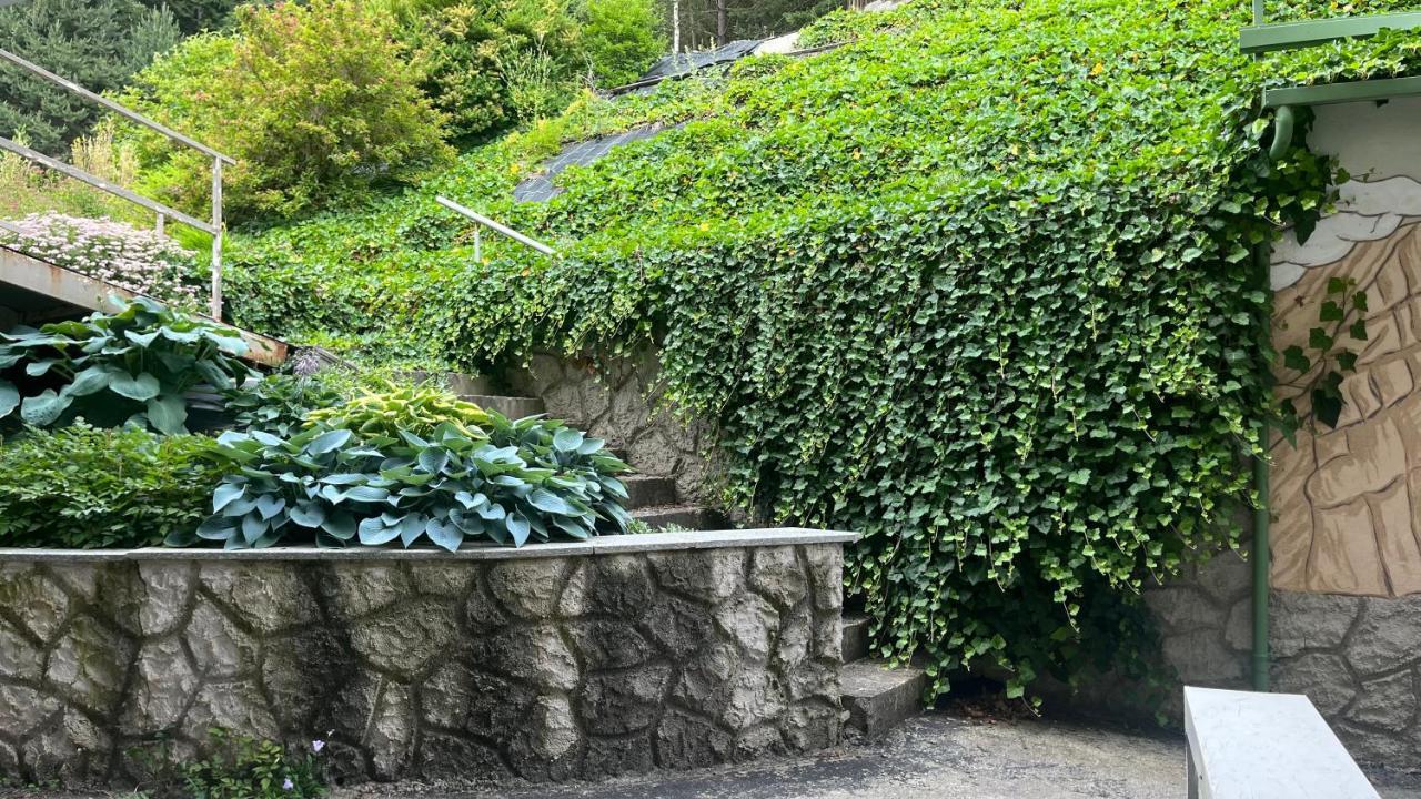 Hotel Saxl Campo di Trens Dış mekan fotoğraf