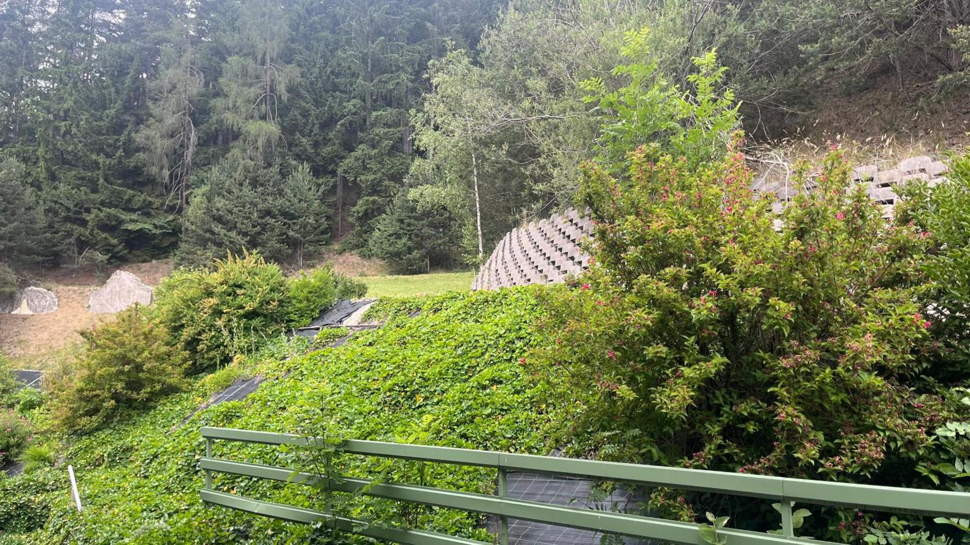 Hotel Saxl Campo di Trens Dış mekan fotoğraf